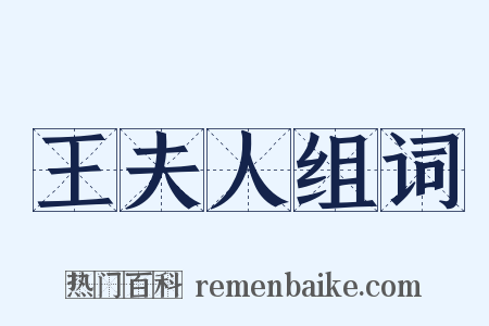 王夫人组词是什么意思的图片